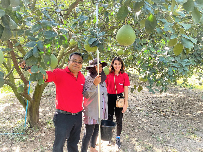 วิสาหกิจชุมชนเกาะทวดฯ จับมือ แม็คโคร ฝ่าโควิด-19  ส่งผักปลอดภัย ส้มโอดัง จากชาวสวน